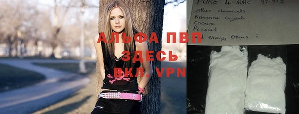 Альфа ПВП Беломорск