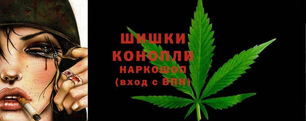 гидра Балахна