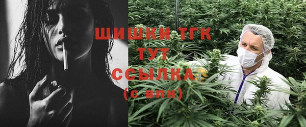 ГАЛЛЮЦИНОГЕННЫЕ ГРИБЫ Баксан