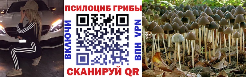цены   Ясногорск  Галлюциногенные грибы ЛСД 